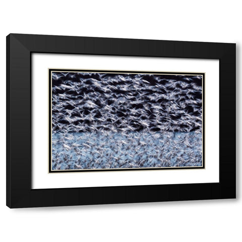 To the Arctic Black Modern Wood Framed Art Print with Double Matting by Guo, Liwen