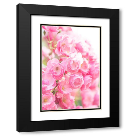 Rose Black Modern Wood Framed Art Print with Double Matting by Kazumasa, Kondou