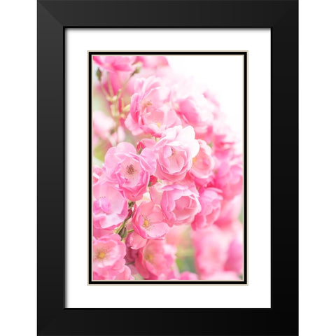 Rose Black Modern Wood Framed Art Print with Double Matting by Kazumasa, Kondou