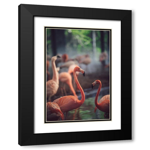 Flamingo Black Modern Wood Framed Art Print with Double Matting by Dayvee