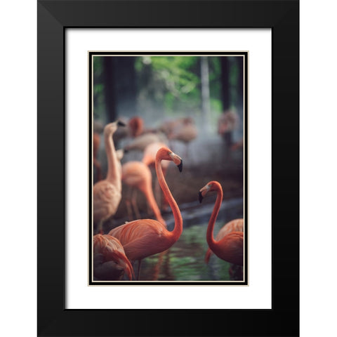 Flamingo Black Modern Wood Framed Art Print with Double Matting by Dayvee