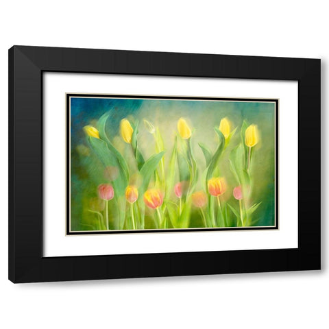 Dancing tulips Black Modern Wood Framed Art Print with Double Matting by Van Son, Greetje