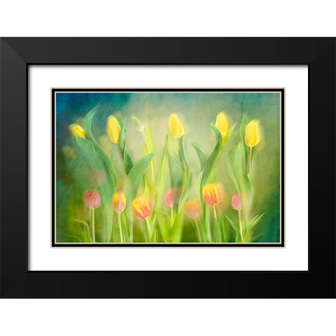 Dancing tulips Black Modern Wood Framed Art Print with Double Matting by Van Son, Greetje