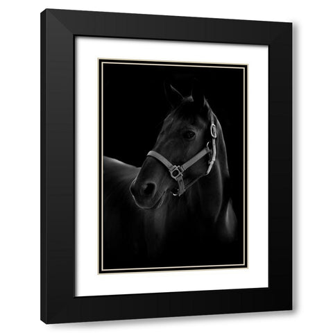 Horse Black Modern Wood Framed Art Print with Double Matting by T, Yuya