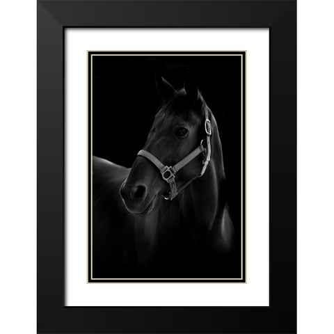 Horse Black Modern Wood Framed Art Print with Double Matting by T, Yuya