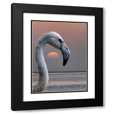 This Is My World Black Modern Wood Framed Art Print with Double Matting by Guillemot, Mathilde