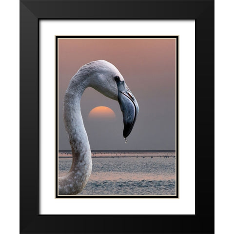 This Is My World Black Modern Wood Framed Art Print with Double Matting by Guillemot, Mathilde