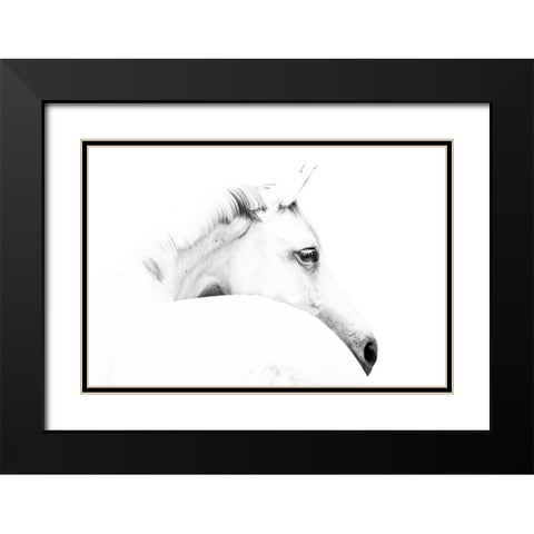 horse and minimalism Black Modern Wood Framed Art Print with Double Matting by Leinemann, Ulrike