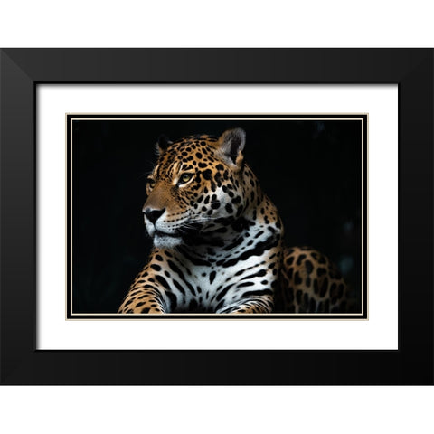 Captive wild Black Modern Wood Framed Art Print with Double Matting by Yuya.T