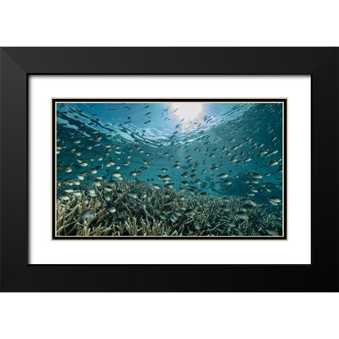 The Reef Black Modern Wood Framed Art Print with Double Matting by Melesan, Serge