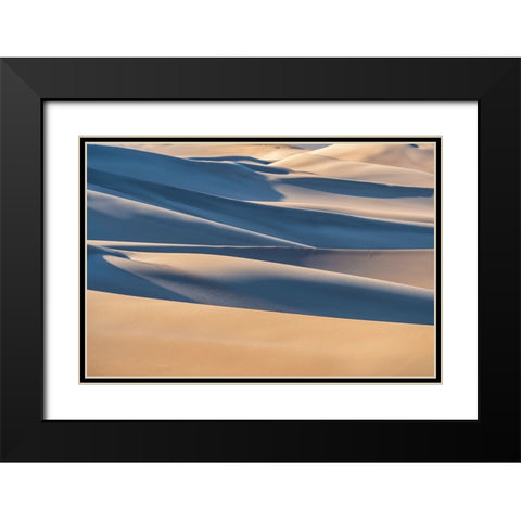 Desert Black Modern Wood Framed Art Print with Double Matting by Razavi, Mahshad
