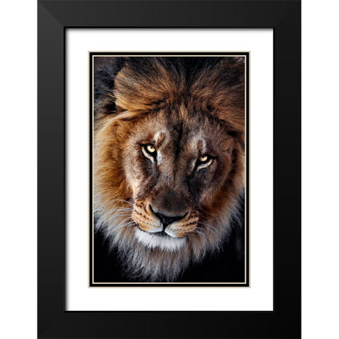 The king Black Modern Wood Framed Art Print with Double Matting by Zhao, Alex
