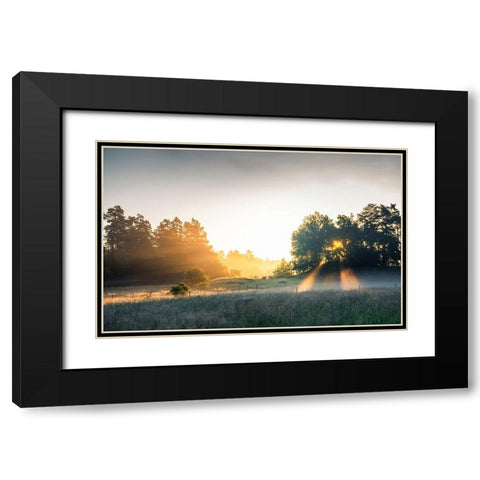 Summer field with sunrays Black Modern Wood Framed Art Print with Double Matting by Lindsten, Christian