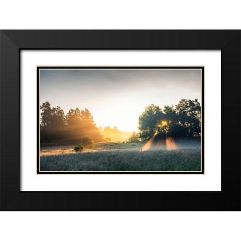 Summer field with sunrays Black Modern Wood Framed Art Print with Double Matting by Lindsten, Christian
