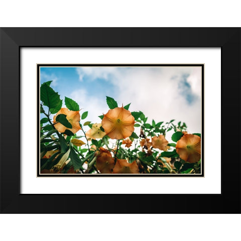 The flower Black Modern Wood Framed Art Print with Double Matting by Danielraphotos
