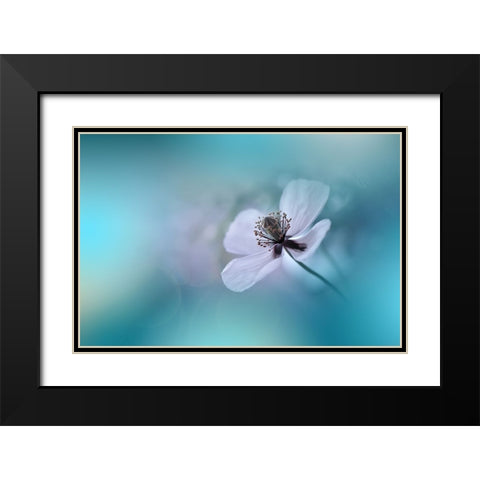 Walk Softly.. Black Modern Wood Framed Art Print with Double Matting by Nan, Juliana