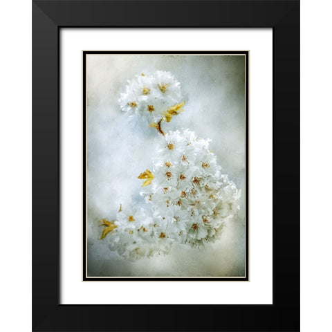 Cherry Blossoms Black Modern Wood Framed Art Print with Double Matting by Zvinakeviciute, Kristina