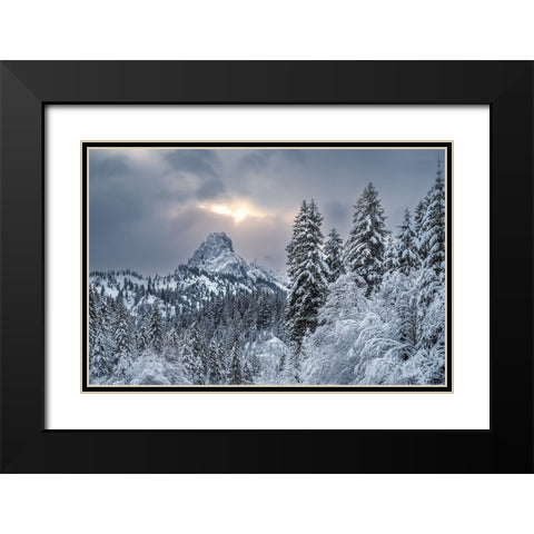 The alpine freshness Black Modern Wood Framed Art Print with Double Matting by Gialopoulos, Anastasios