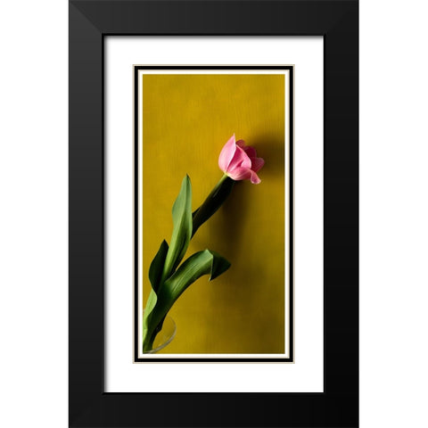 Tulip1 Black Modern Wood Framed Art Print with Double Matting by De Malleray, Delphine