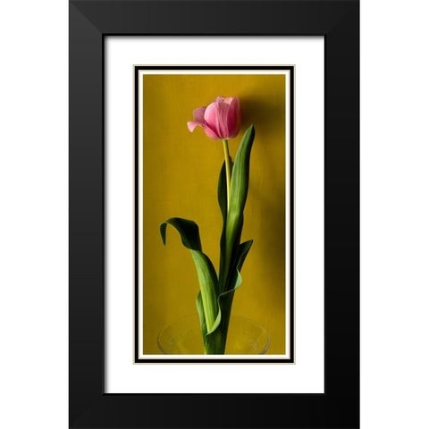 Tulip2 Black Modern Wood Framed Art Print with Double Matting by De Malleray, Delphine