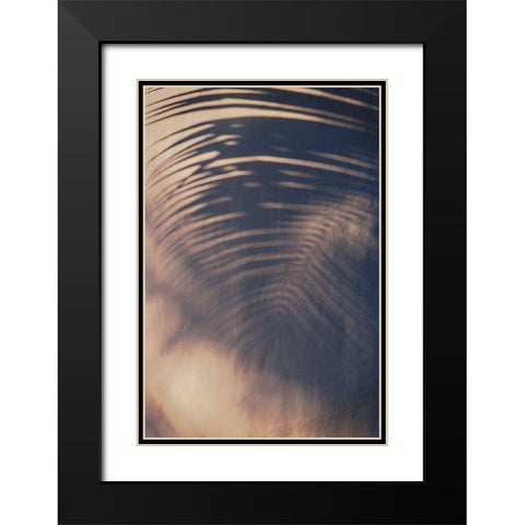 Wall a Palm Shadow Black Modern Wood Framed Art Print with Double Matting by Mossholder, Tim