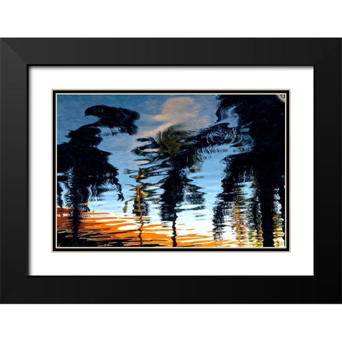 Palm Reflections Black Modern Wood Framed Art Print with Double Matting by Mossholder, Tim