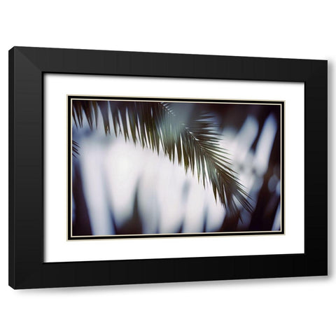 Palm Branches Black Modern Wood Framed Art Print with Double Matting by Mossholder, Tim