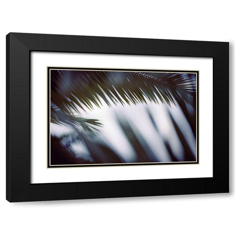 Palm Branches Black Modern Wood Framed Art Print with Double Matting by Mossholder, Tim