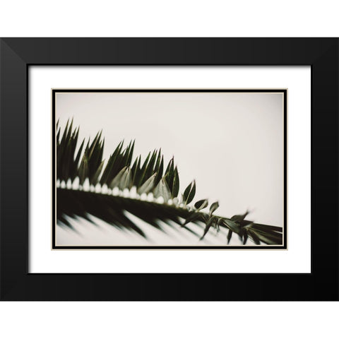 Palm Branches Black Modern Wood Framed Art Print with Double Matting by Mossholder, Tim
