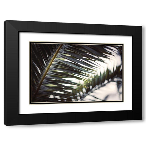 Palm Branches Black Modern Wood Framed Art Print with Double Matting by Mossholder, Tim