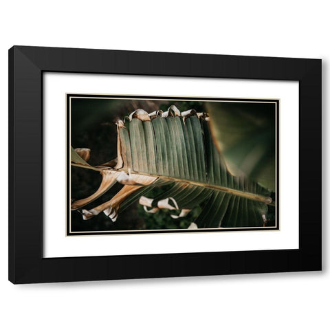 Palm Decay Black Modern Wood Framed Art Print with Double Matting by Mossholder, Tim