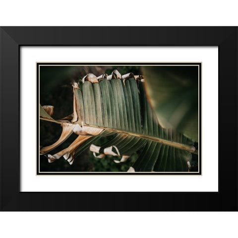 Palm Decay Black Modern Wood Framed Art Print with Double Matting by Mossholder, Tim