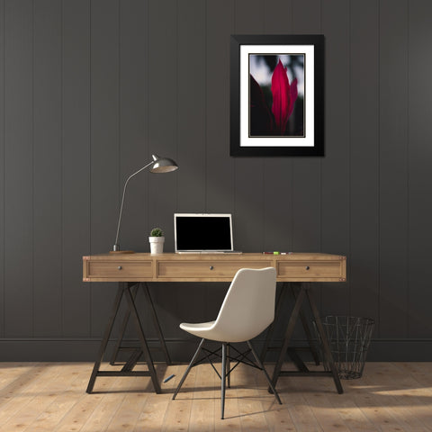 Red Plan at Dusk Black Modern Wood Framed Art Print with Double Matting by Mossholder, Tim