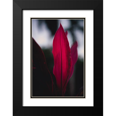 Red Plan at Dusk Black Modern Wood Framed Art Print with Double Matting by Mossholder, Tim