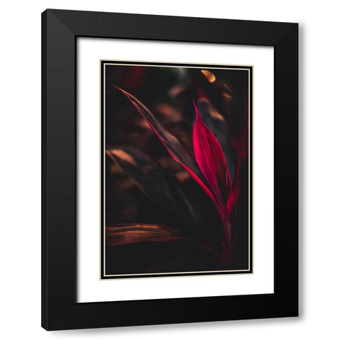 Red Plan at Dusk Black Modern Wood Framed Art Print with Double Matting by Mossholder, Tim