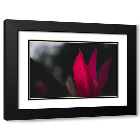 Red Plan at Dusk Black Modern Wood Framed Art Print with Double Matting by Mossholder, Tim