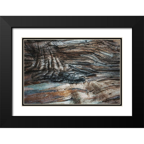 Eucalyptus Texture Black Modern Wood Framed Art Print with Double Matting by Mossholder, Tim