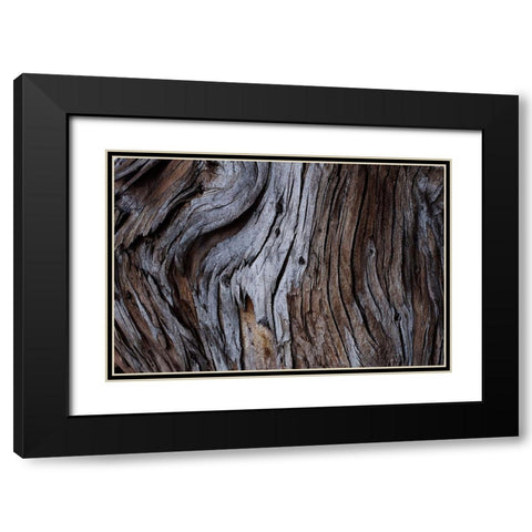 Eucalyptus Texture Black Modern Wood Framed Art Print with Double Matting by Mossholder, Tim