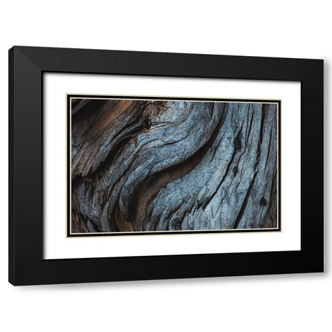Eucalyptus Texture Black Modern Wood Framed Art Print with Double Matting by Mossholder, Tim