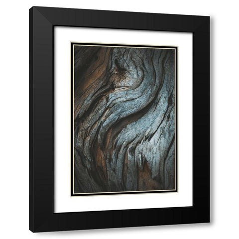 Eucalyptus Texture Black Modern Wood Framed Art Print with Double Matting by Mossholder, Tim