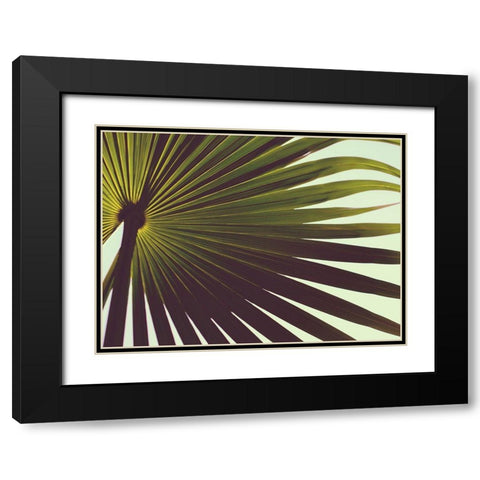 Untitled Black Modern Wood Framed Art Print with Double Matting by Mossholder, Tim