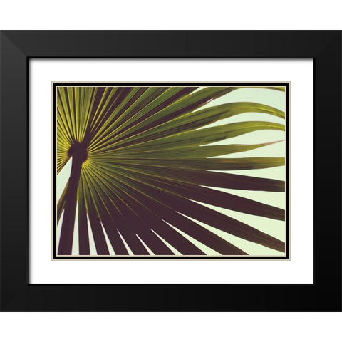 Untitled Black Modern Wood Framed Art Print with Double Matting by Mossholder, Tim