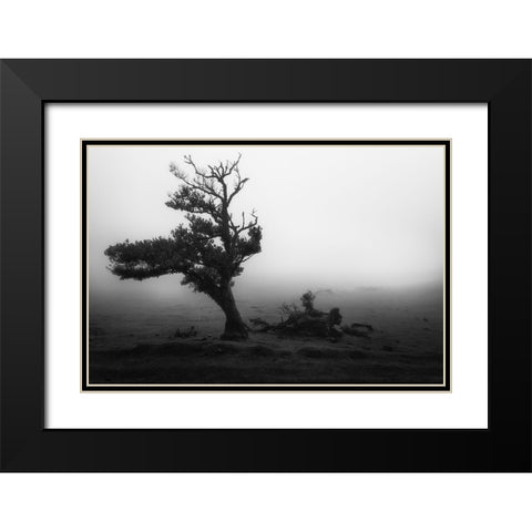 Fanal #2 Black Modern Wood Framed Art Print with Double Matting by Moravek, Martin