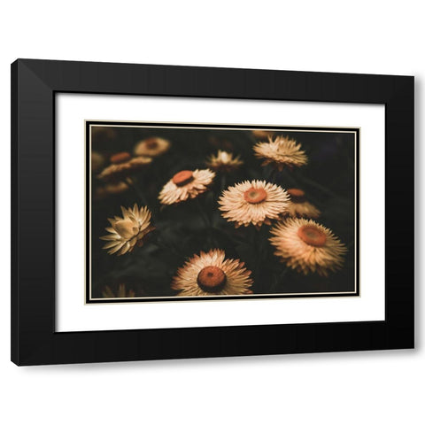 Faded Flowers Black Modern Wood Framed Art Print with Double Matting by Mossholder, Tim