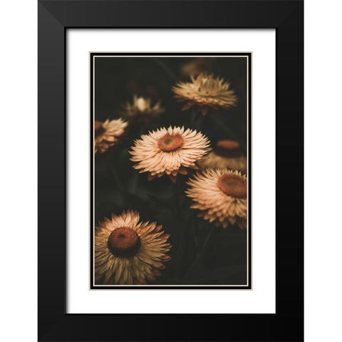 Faded Flowers Black Modern Wood Framed Art Print with Double Matting by Mossholder, Tim