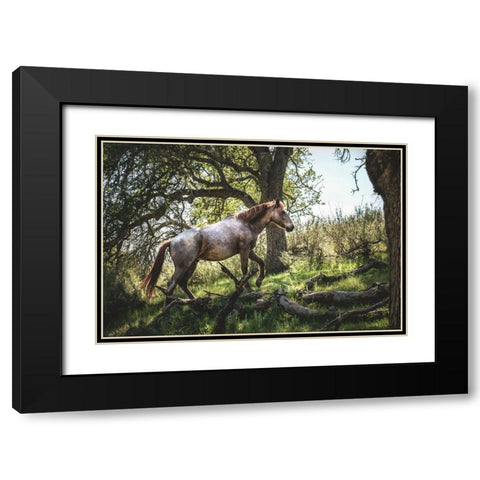 Hillside Horse Black Modern Wood Framed Art Print with Double Matting by Mossholder, Tim