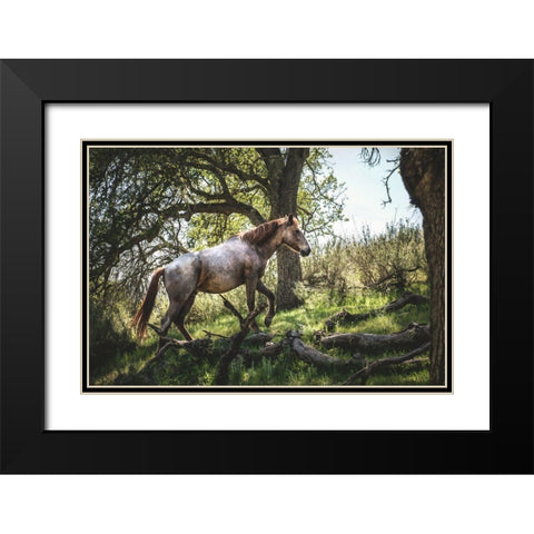 Hillside Horse Black Modern Wood Framed Art Print with Double Matting by Mossholder, Tim