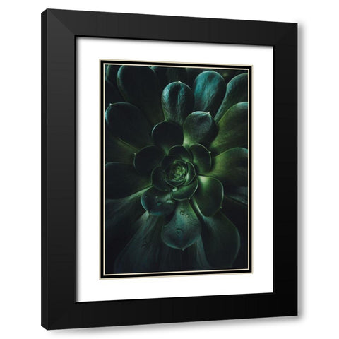 Succulent Black Modern Wood Framed Art Print with Double Matting by Mossholder, Tim
