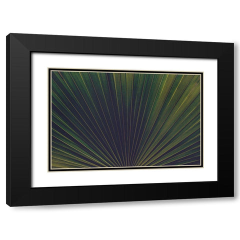 Palm Textures Black Modern Wood Framed Art Print with Double Matting by Mossholder, Tim