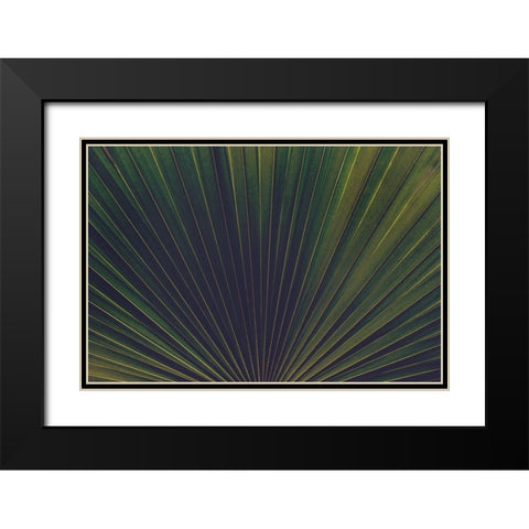 Palm Textures Black Modern Wood Framed Art Print with Double Matting by Mossholder, Tim